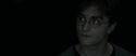 RdM1-Potterish4380.jpg