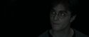 RdM1-Potterish4381.jpg