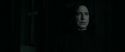 RdM1-Potterish439.jpg