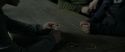 RdM1-Potterish4391.jpg