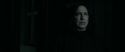 RdM1-Potterish440.jpg