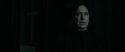 RdM1-Potterish441.jpg