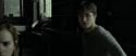 RdM1-Potterish4425.jpg