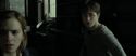 RdM1-Potterish4426.jpg