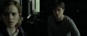 RdM1-Potterish4427.jpg