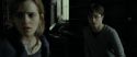 RdM1-Potterish4428.jpg