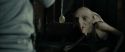 RdM1-Potterish4556.jpg