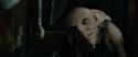 RdM1-Potterish4596.jpg