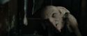 RdM1-Potterish4601.jpg