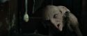 RdM1-Potterish4603.jpg