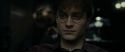 RdM1-Potterish4812.jpg