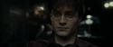 RdM1-Potterish4813.jpg