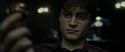 RdM1-Potterish4828.jpg
