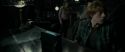 RdM1-Potterish4866.jpg