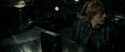 RdM1-Potterish4867.jpg