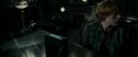 RdM1-Potterish4868.jpg
