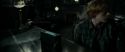 RdM1-Potterish4869.jpg