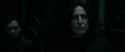 RdM1-Potterish487.jpg