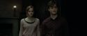 RdM1-Potterish4890.jpg