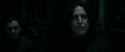RdM1-Potterish490.jpg