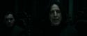 RdM1-Potterish492.jpg