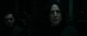 RdM1-Potterish494.jpg