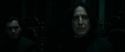 RdM1-Potterish496.jpg