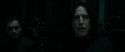 RdM1-Potterish497.jpg