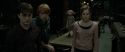 RdM1-Potterish4976.jpg