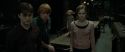 RdM1-Potterish4977.jpg