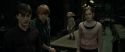 RdM1-Potterish4984.jpg