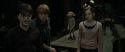 RdM1-Potterish4985.jpg