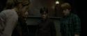 RdM1-Potterish5061.jpg
