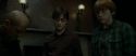 RdM1-Potterish5064.jpg