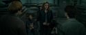 RdM1-Potterish5140.jpg