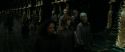 RdM1-Potterish5328.jpg