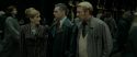 RdM1-Potterish5394.jpg