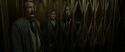 RdM1-Potterish5476.jpg