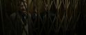 RdM1-Potterish5479.jpg