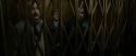 RdM1-Potterish5480.jpg