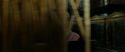 RdM1-Potterish5582.jpg