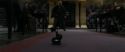 RdM1-Potterish5729.jpg