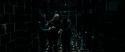 RdM1-Potterish5943.jpg