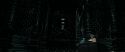 RdM1-Potterish5976.jpg