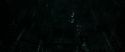RdM1-Potterish5982.jpg