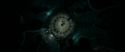 RdM1-Potterish6071.jpg
