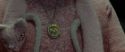 RdM1-Potterish6137.jpg
