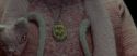 RdM1-Potterish6138.jpg