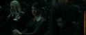 RdM1-Potterish629.jpg