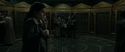 RdM1-Potterish6322.jpg